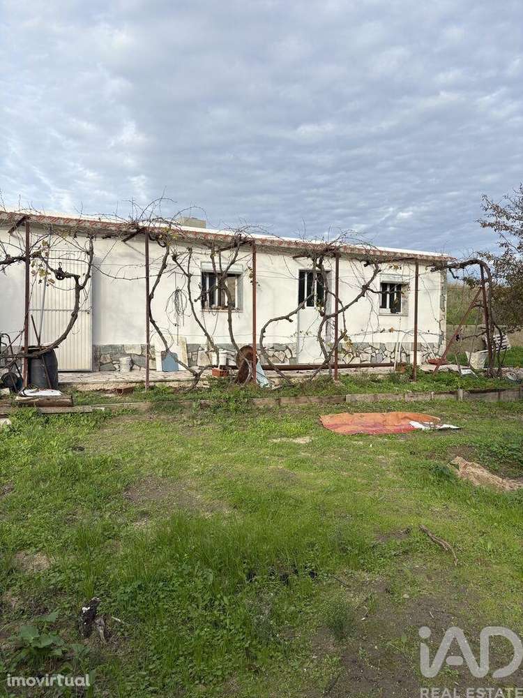Terreno Agrícola em Montijo e Afonsoeiro - Grande imagem: 2/4