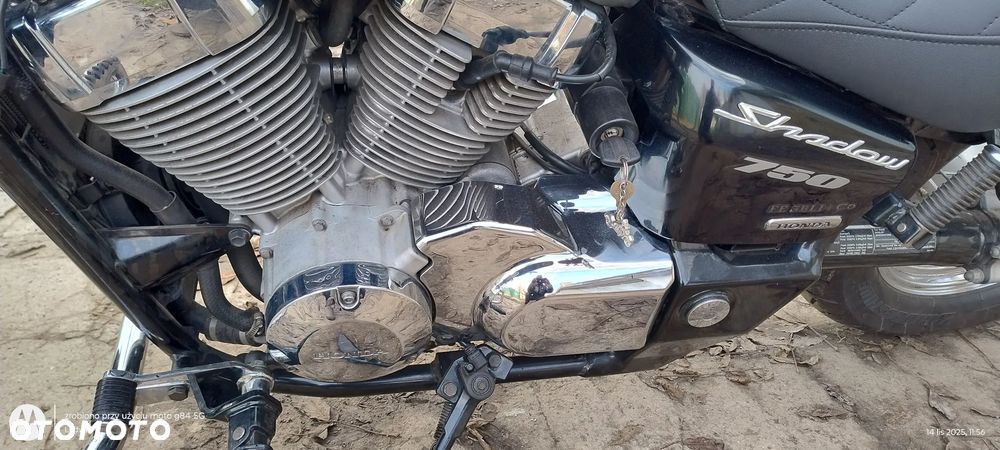 Honda Shadow - 6
