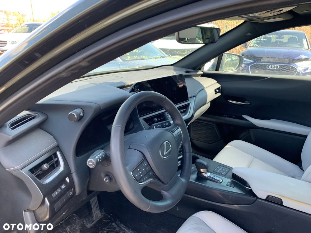 Lexus UX 300h F Sport AWD - 11