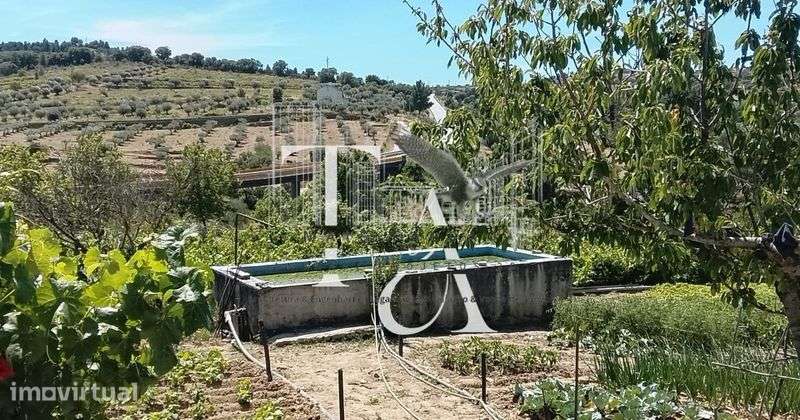 Quinta da Ponte- Pinhel - Grande imagem: 5/12
