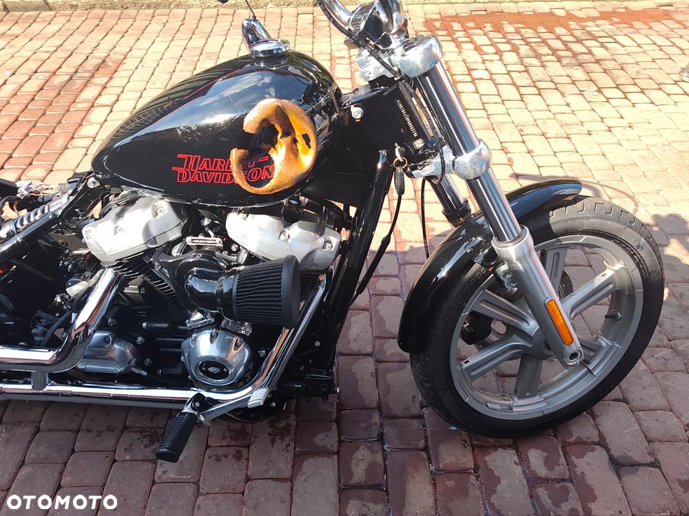 Harley-Davidson Softail Standard - 5