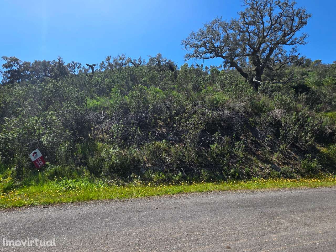 Terreno - Grande imagem: 3/26