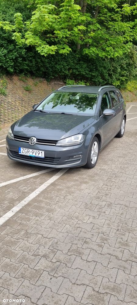 Volkswagen Golf - 1