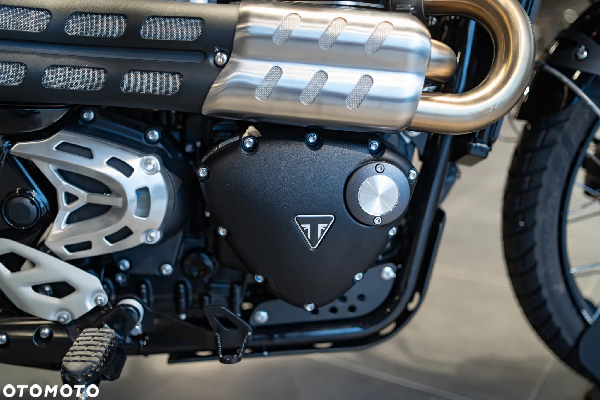 Triumph Scrambler - 20