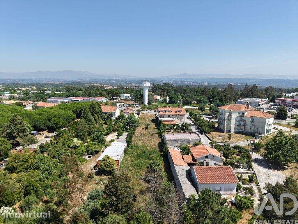 Terreno Agrícola em Carregal do Sal - Grande imagem: 5/8