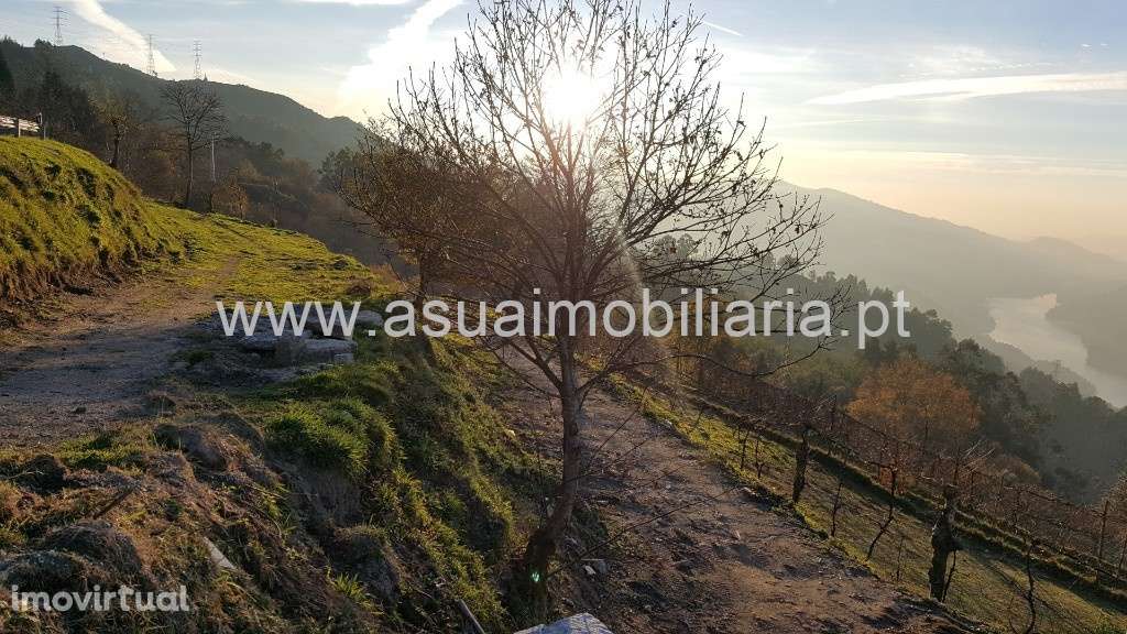 Terreno - Caniçada / Vieira do Minho - Grande imagem: 5/10