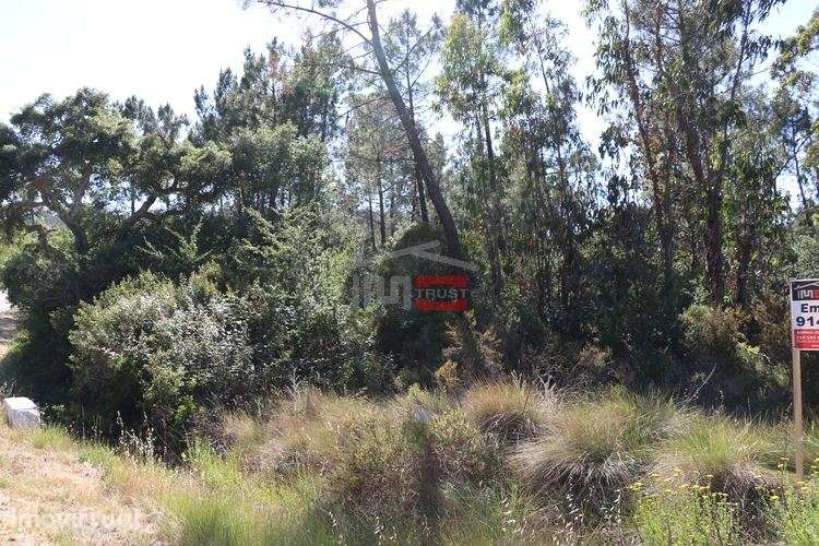 Terreno - Grande imagem: 3/6