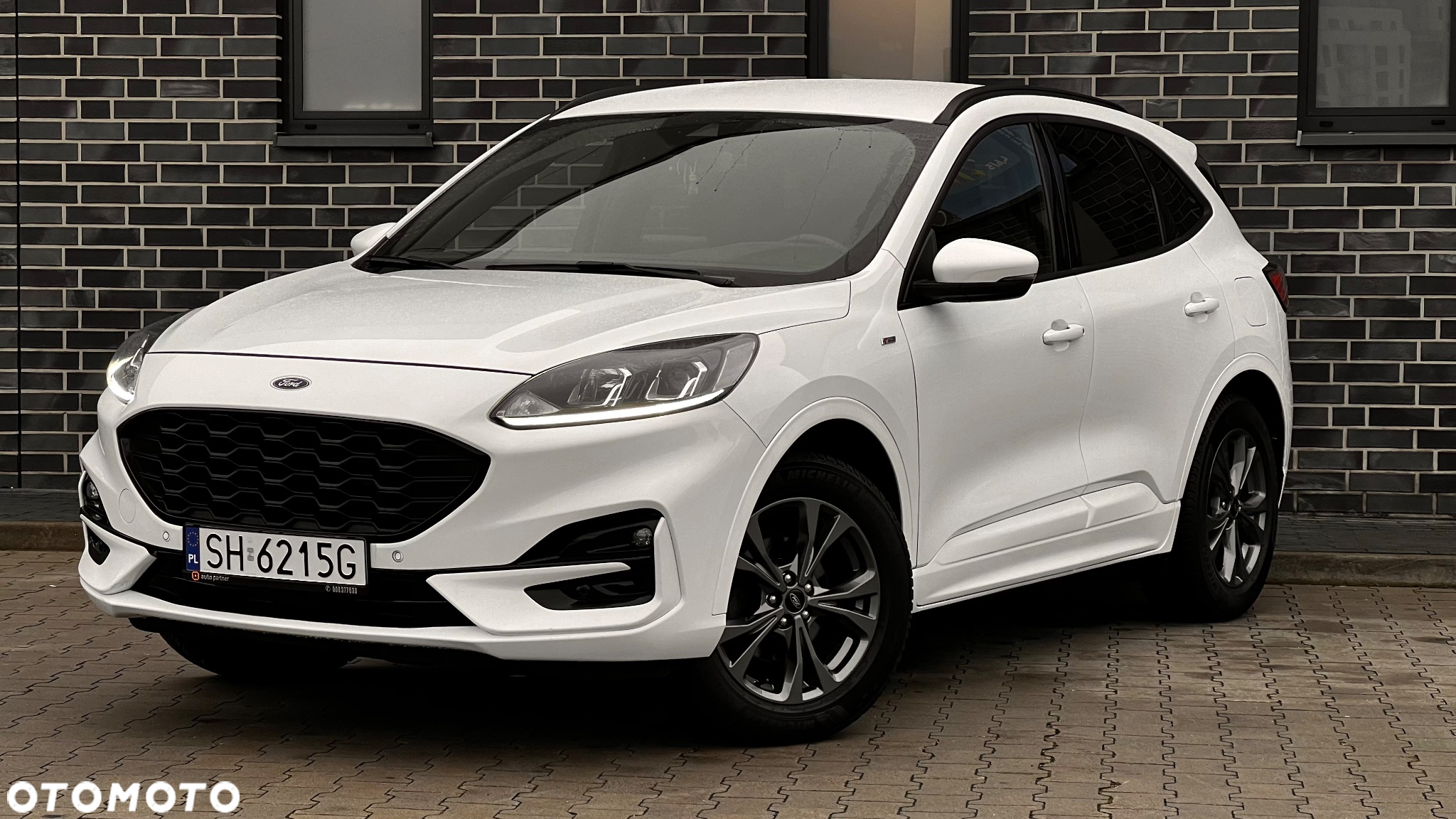 Ford Kuga 2.0 EcoBlue 4x4 ST-LINE - 5