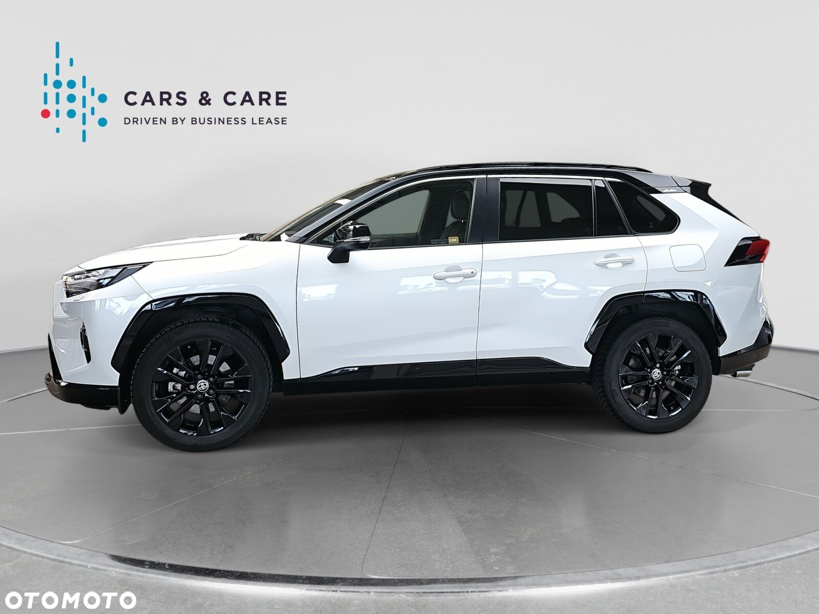 Toyota RAV4 2.5 Hybrid Selection 4x4 - 26
