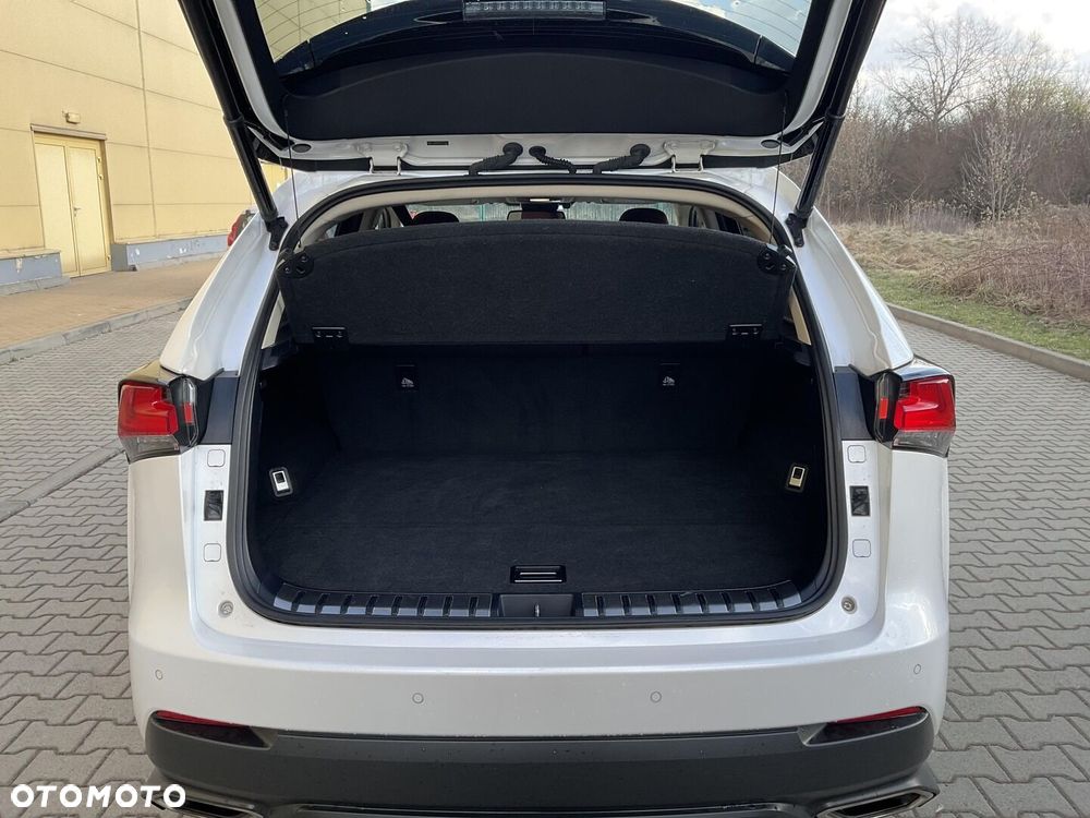 Lexus NX 300 GPF Elegance AWD - 33