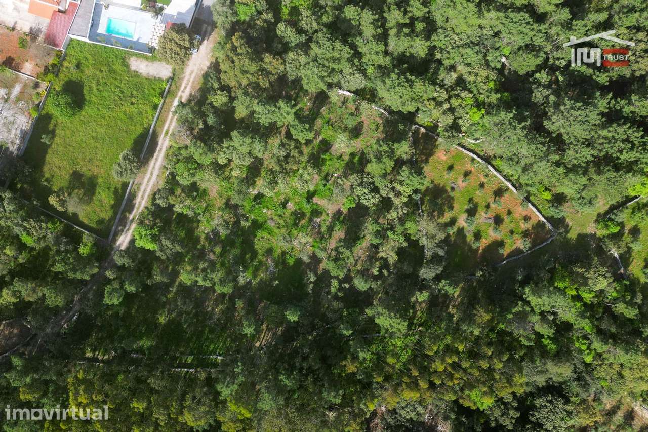 TERRENO COM AREA DE 4280 M2 COM VIABILIDADE DE CONSTRUÇÃO JA TEVE P... - Grande imagem: 2/11