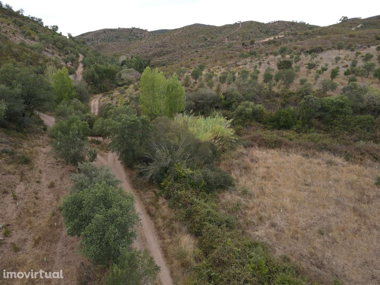 Herdade T3 Venda em São Barnabé,Almodôvar - Grande imagem: 4/18