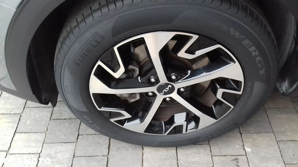 Kia Sportage 1.6 T-GDI MHEV Business Line 2WD DCT - 24