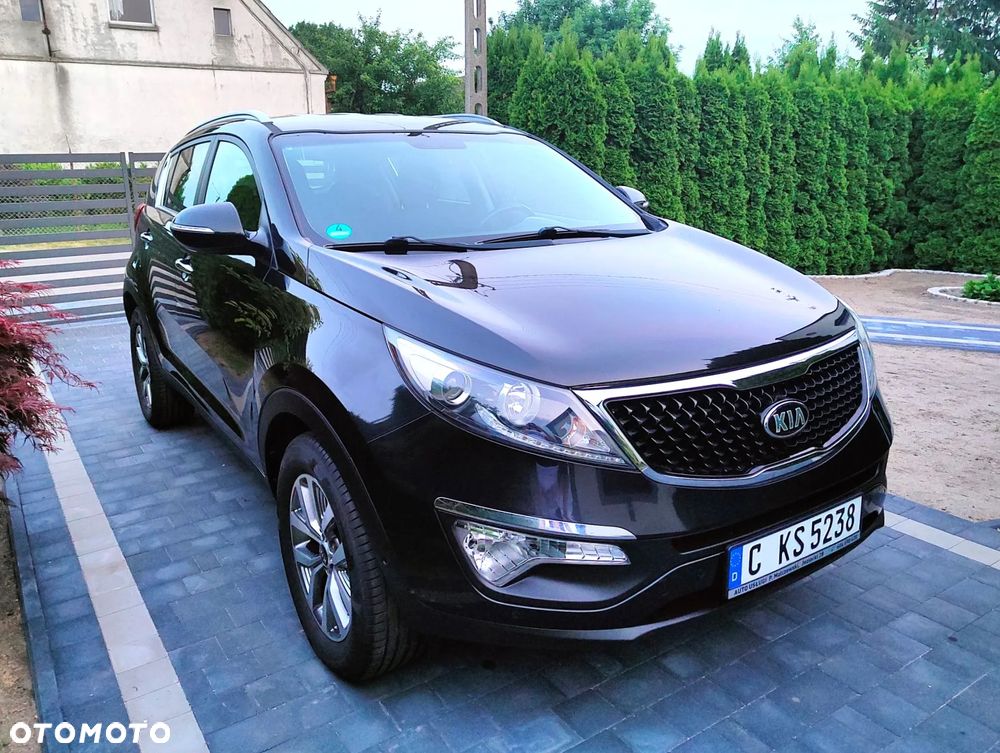 Kia Sportage - 1