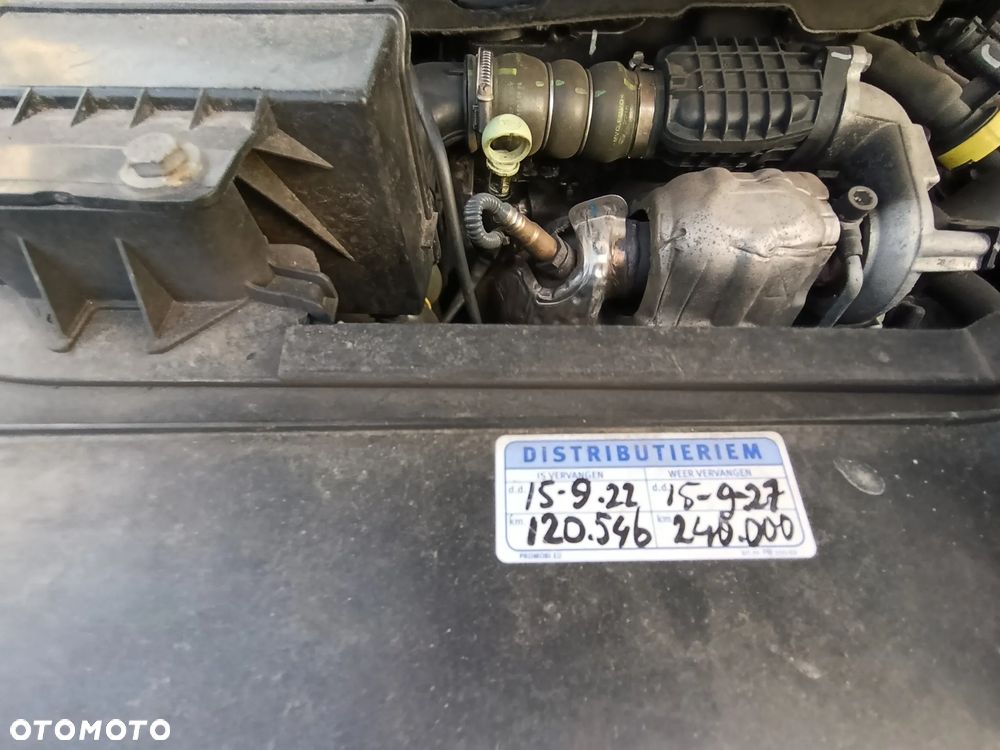 Fiat SCUDO - 19