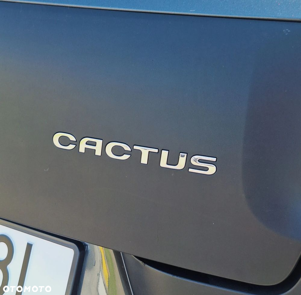Citroën C4 Cactus - 32