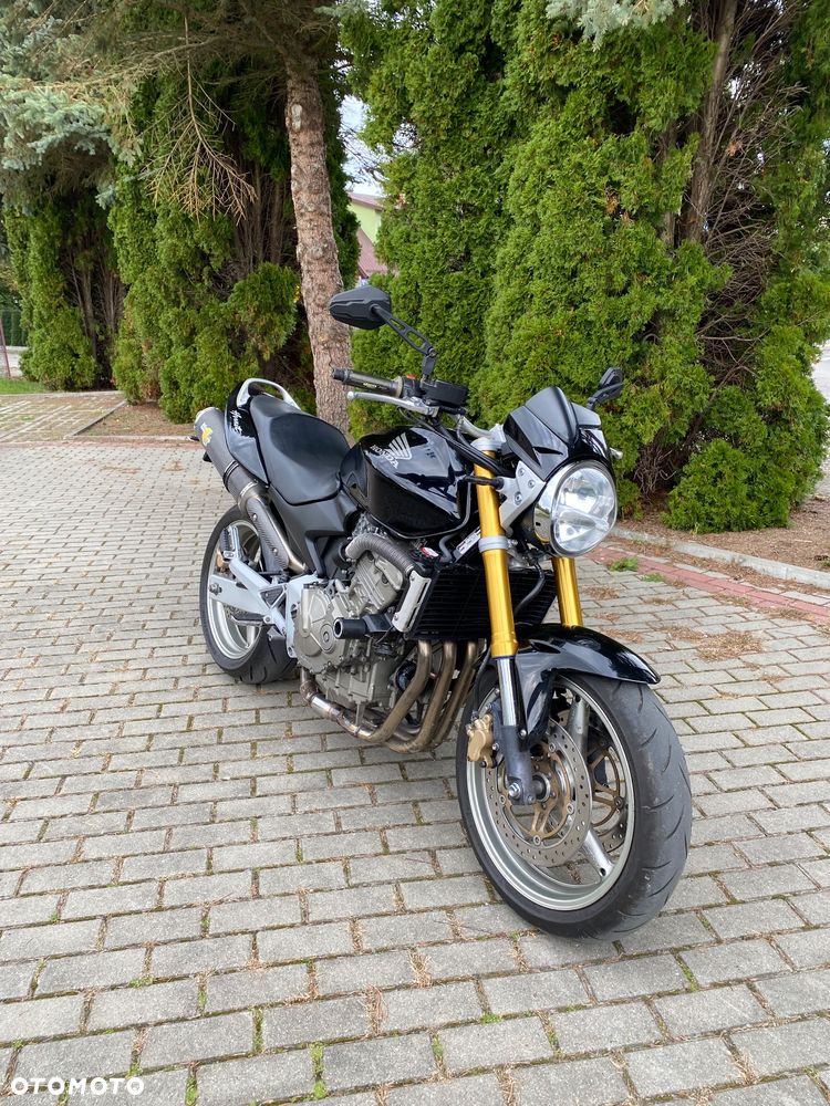 Honda Hornet - 19