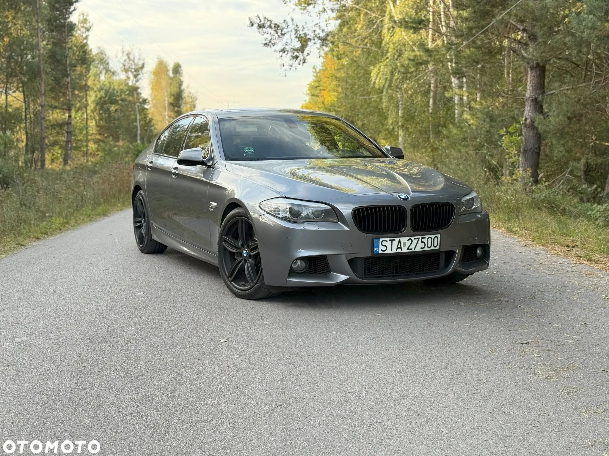 BMW Seria 5 550i - 1
