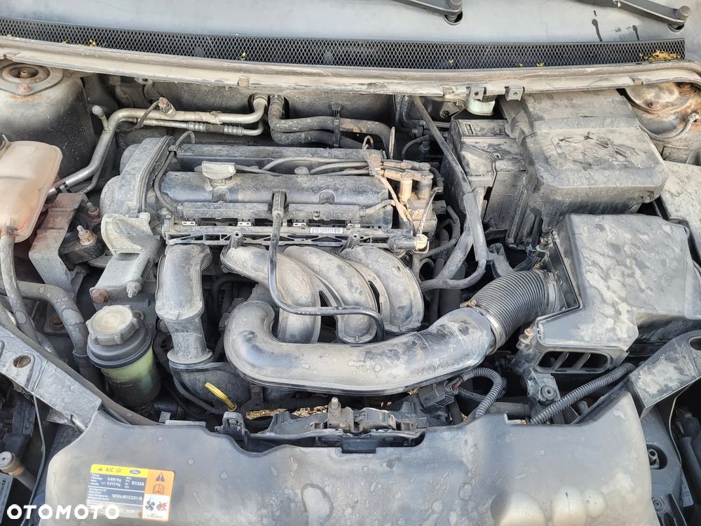 Ford Focus 1.6 FX Gold / Gold X - 14