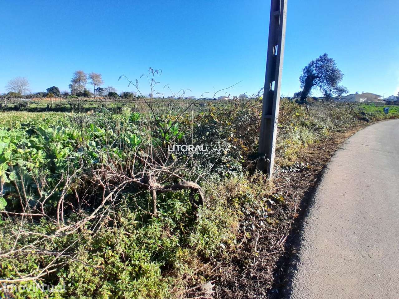 Terreno com 2 artigos em Mamodeiro - Grande imagem: 5/15