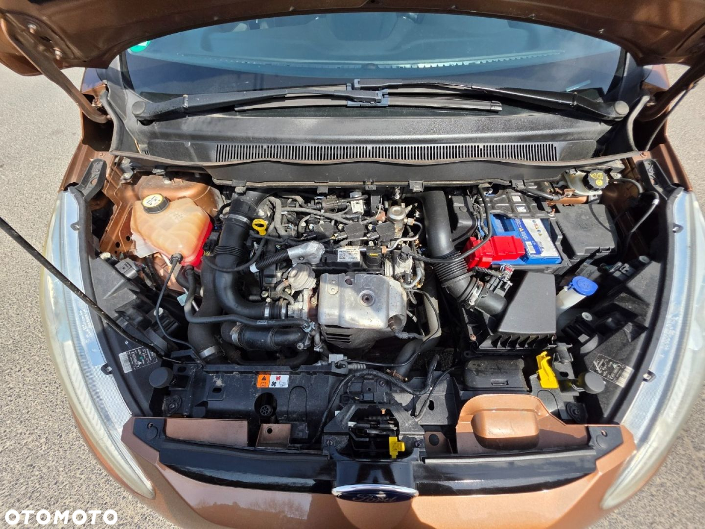 Ford B-MAX - 25