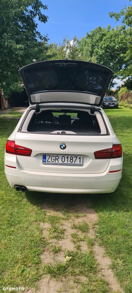 BMW Seria 5 520d Luxury Line - 10