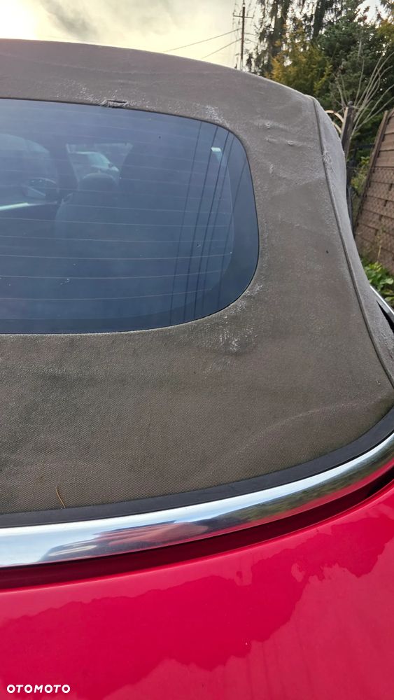 Volkswagen Beetle - 25