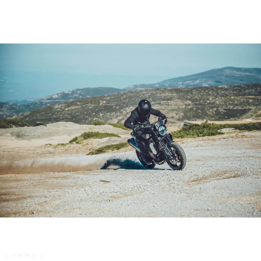 Husqvarna Svartpilen - 15