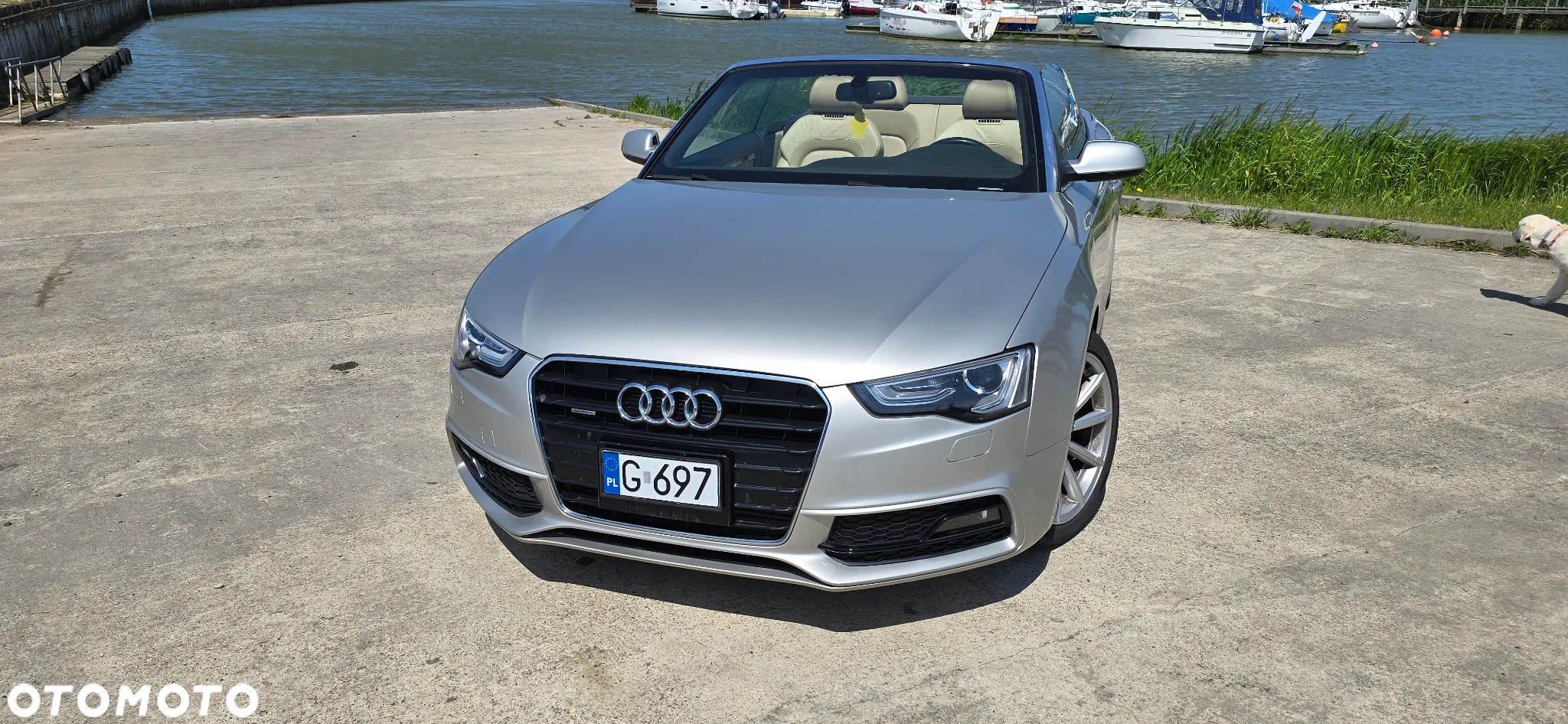 Audi A5 - 2