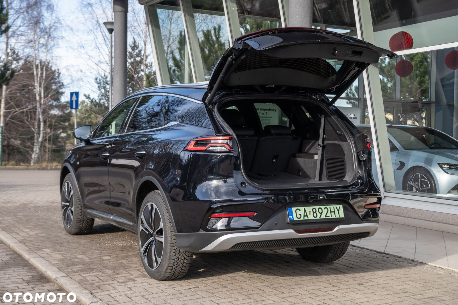 BYD Tang - 8