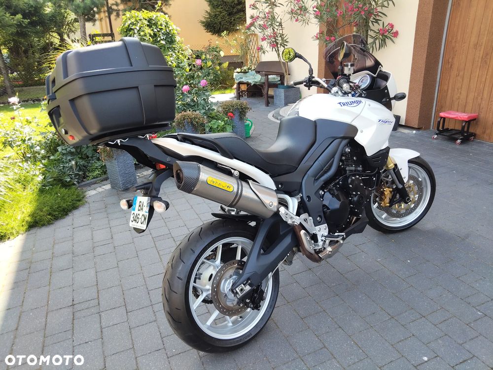 Triumph Tiger - 3