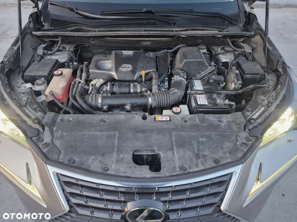 Lexus NX 300 Elegance Optimum AWD - 10