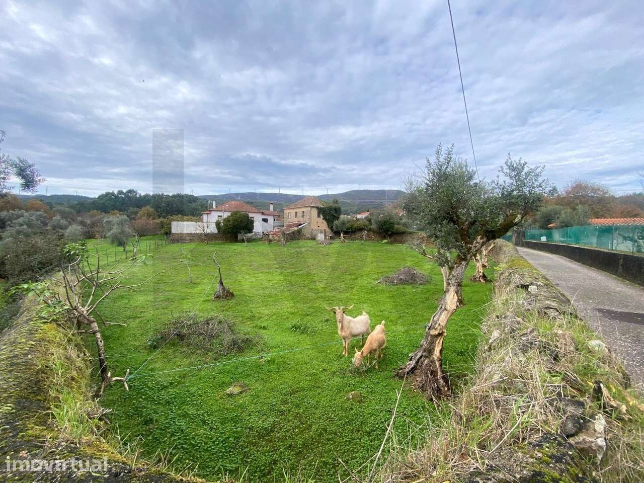 Vende-se Casa de Pedra para Reabilitar – Serrada da Palheira, Castanhe - Grande imagem: 4/8