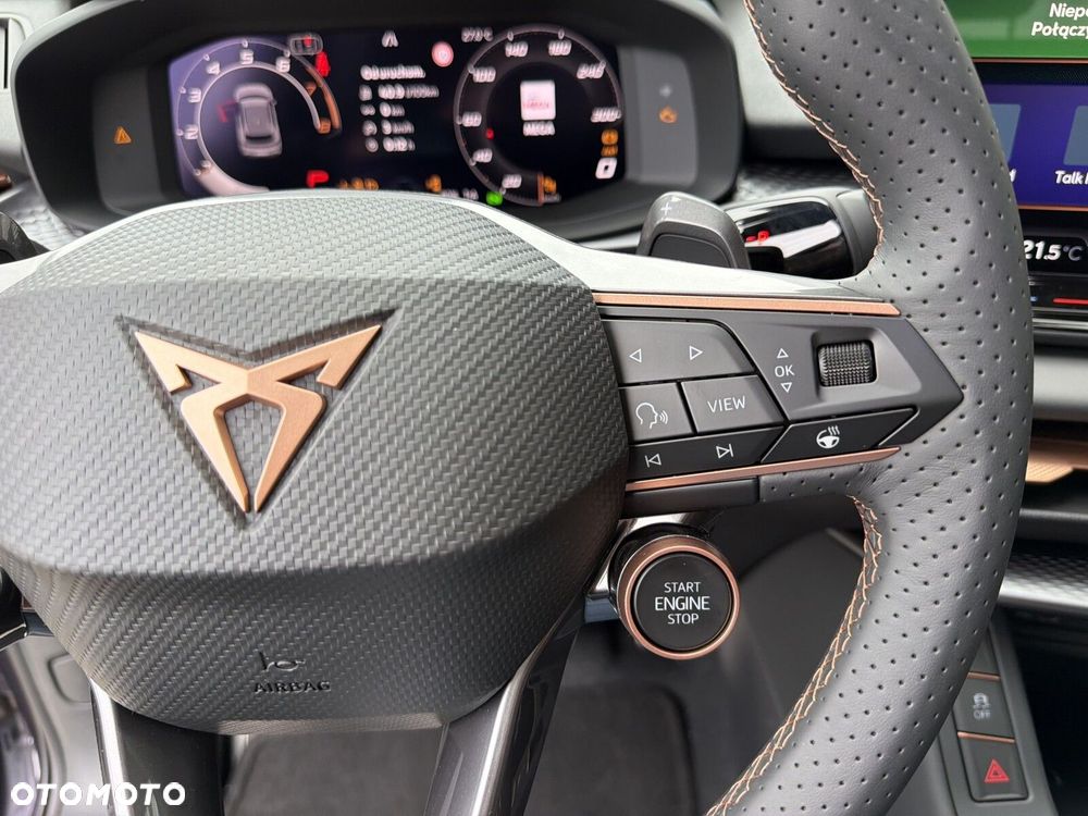 Cupra Terramar - 18