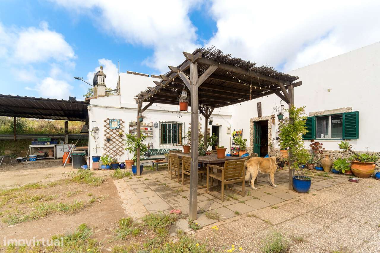 Quinta Autónoma no Alentejo - Grande imagem: 2/25