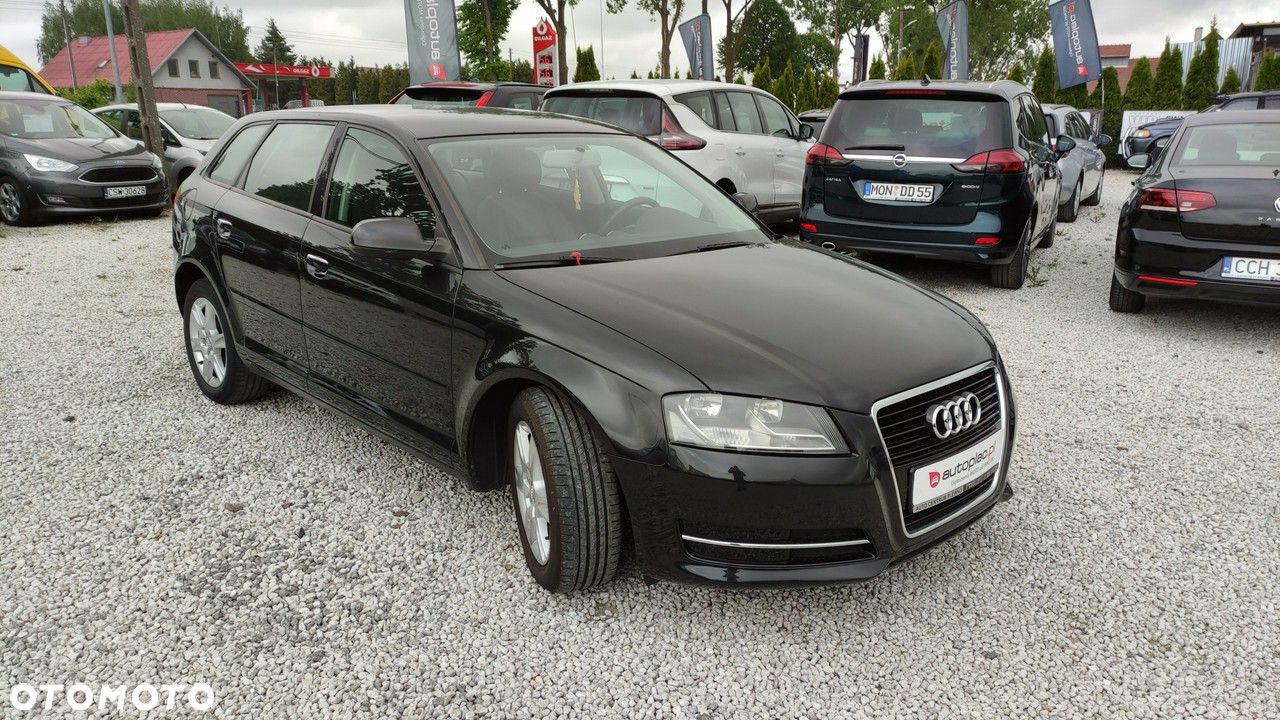 Audi A3 1.6 TDI DPF Attraction - 2