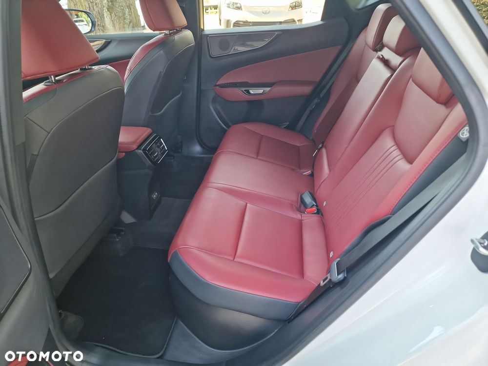 Lexus NX 350h Business AWD - 13