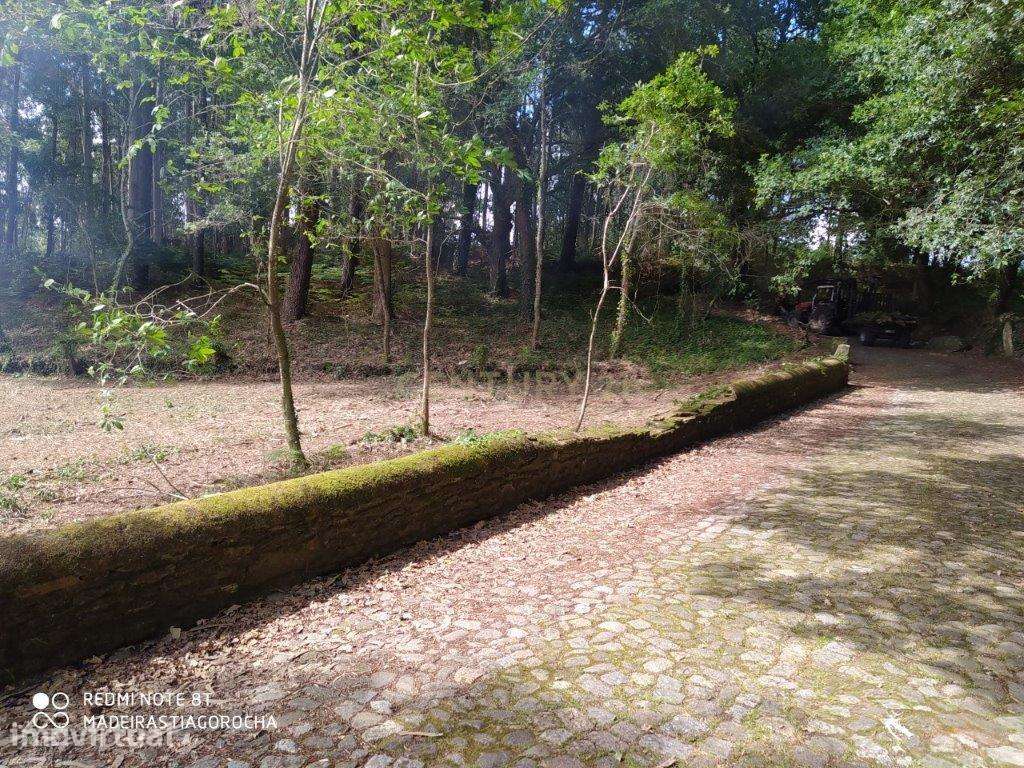 Terreno de 1.934m2 com todas as infraestruturas c/vista ao Rio Minho, - Grande imagem: 4/7