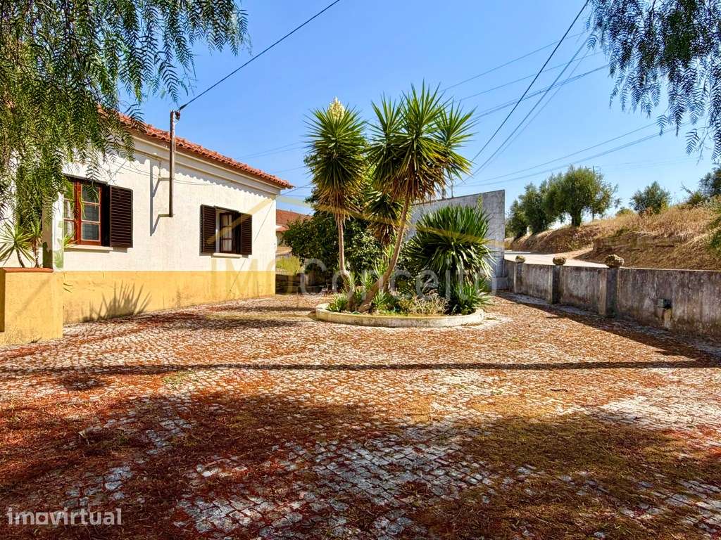 Moradia T3 em Porto Mendo - Tomar - Grande imagem: 2/31