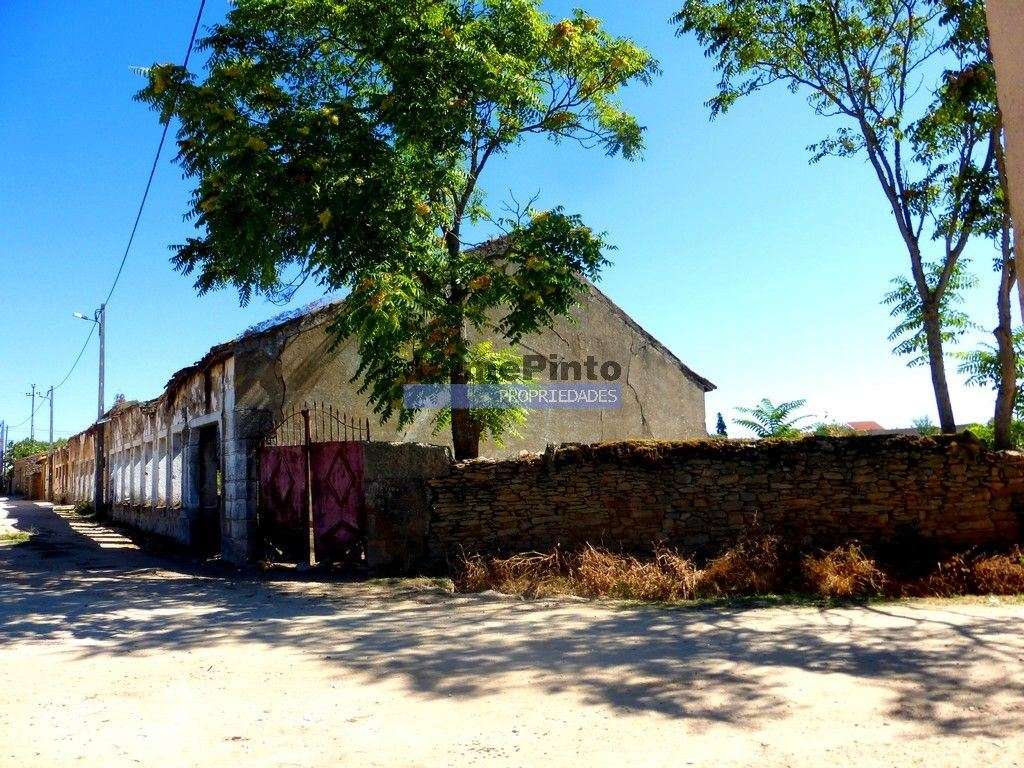 Casa, Armazém e Lagar antigos com terreno. Portugal, Guarda, F. C. ... - Grande imagem: 3/4