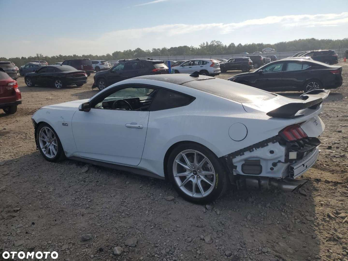 Ford Mustang - 11