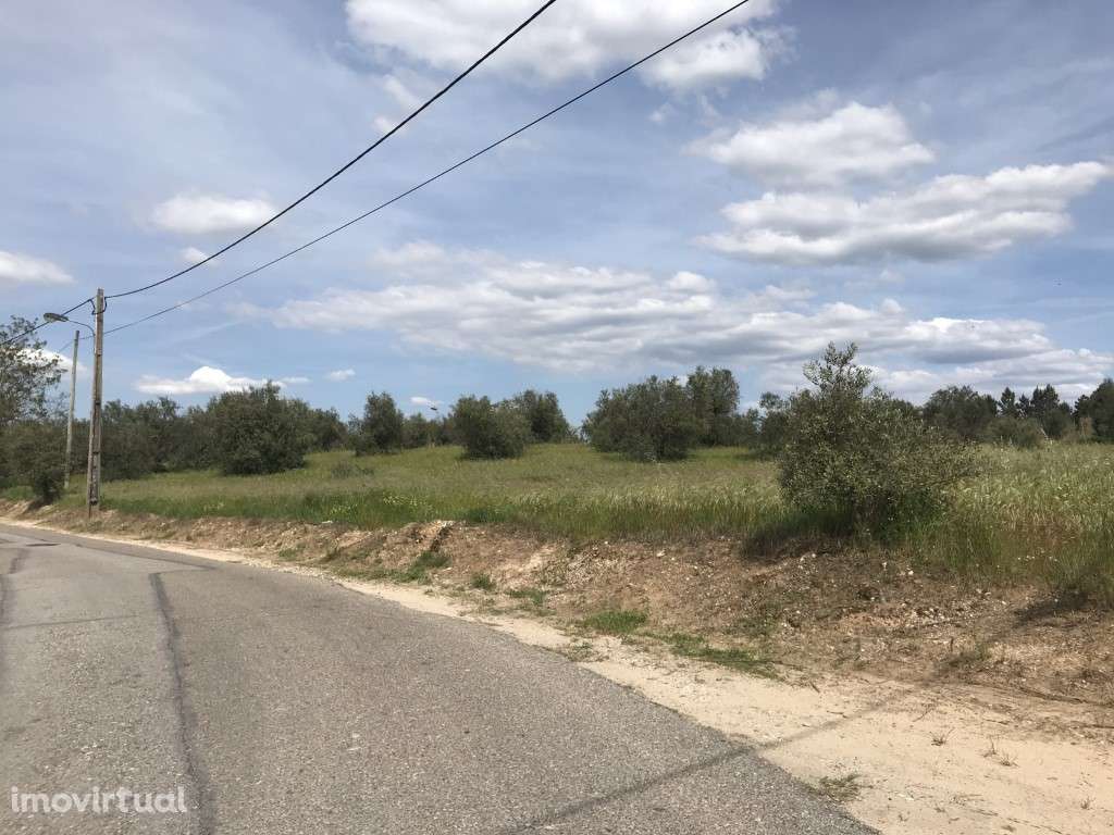 Quinta com vista sobre a cidade - Grande imagem: 5/10