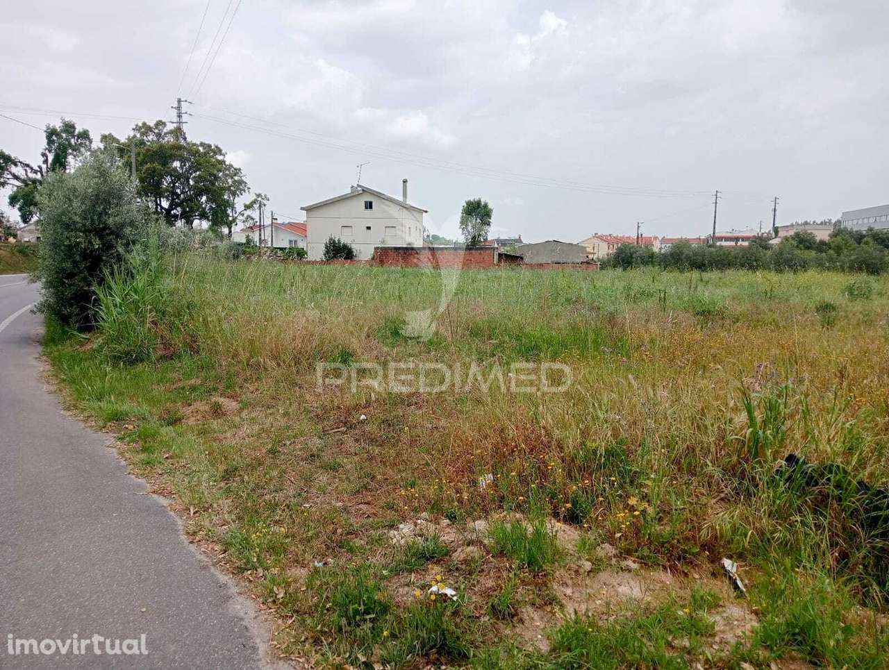 Terreno Rústico, Azoia - Leiria - Grande imagem: 3/8