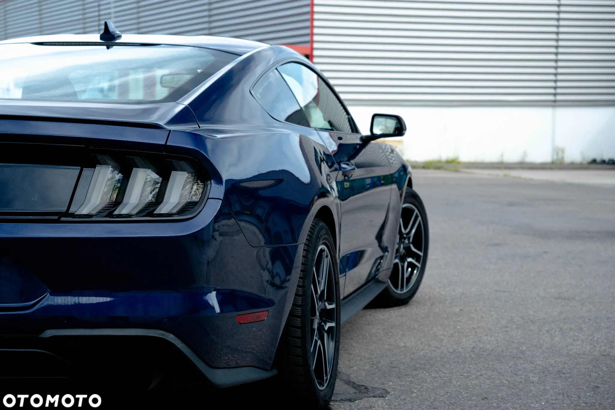 Ford Mustang 2.3 EcoBoost - 8