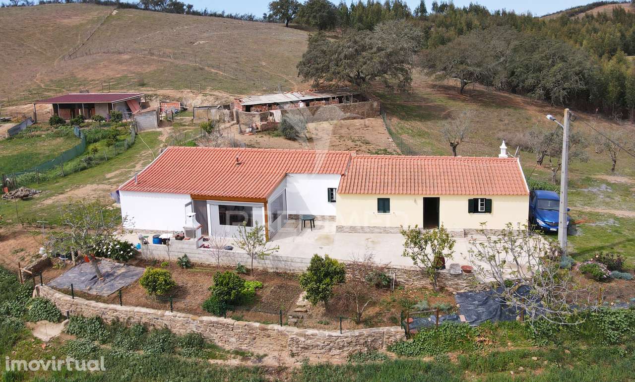 Quinta com 7,500 ha em São Martinho das Amoreiras - Grande imagem: 4/25
