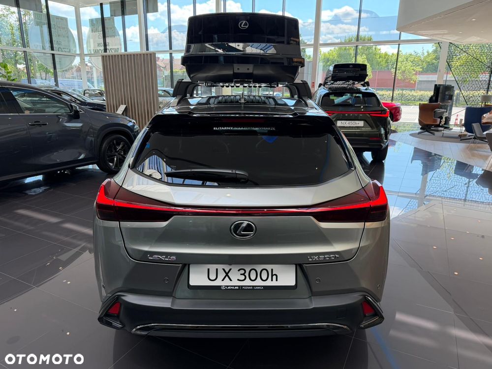 Lexus UX 300h F Sport Design - 6