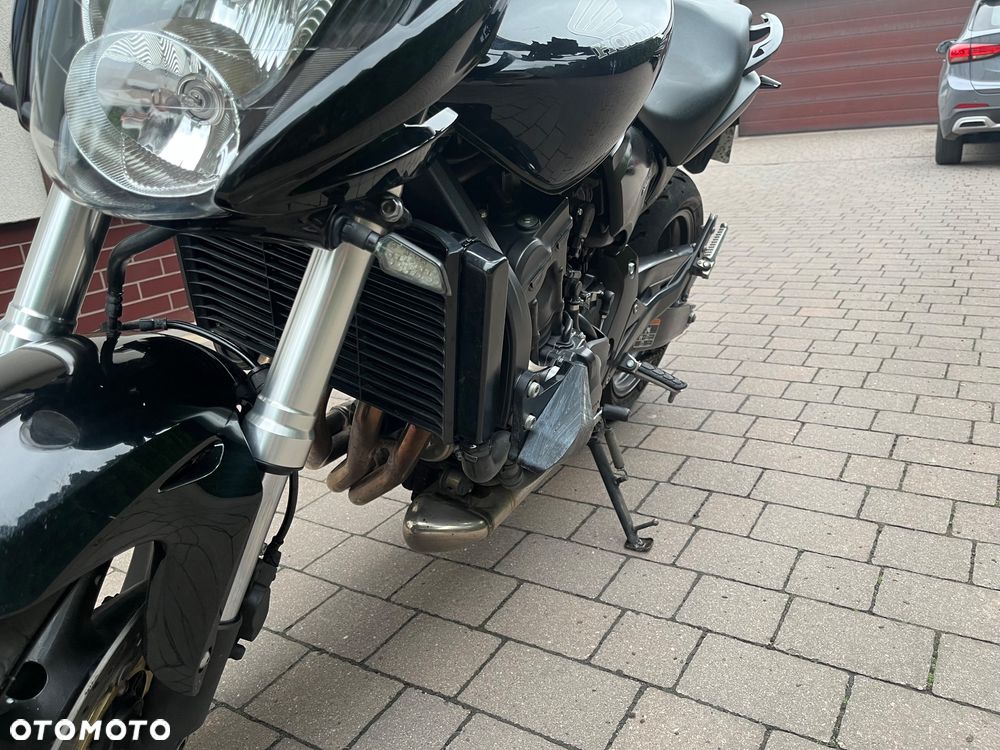 Honda Hornet - 13
