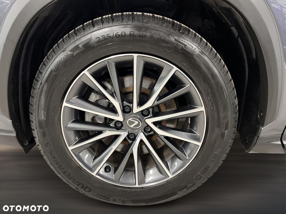 Lexus NX 350h Business AWD - 19