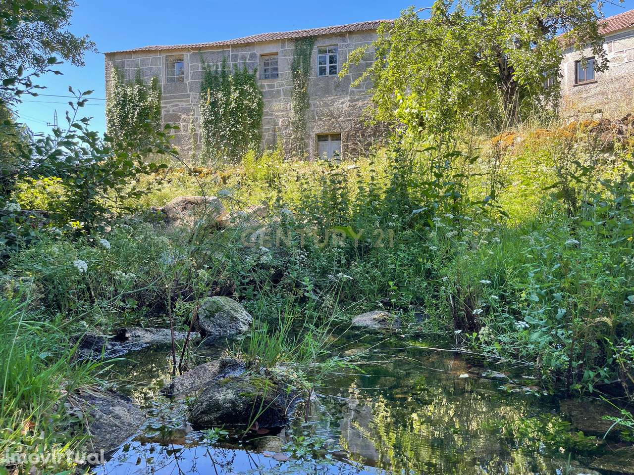 Uma quinta com uma casa que necessita de restauro, situada num terreno - Grande imagem: 3/51