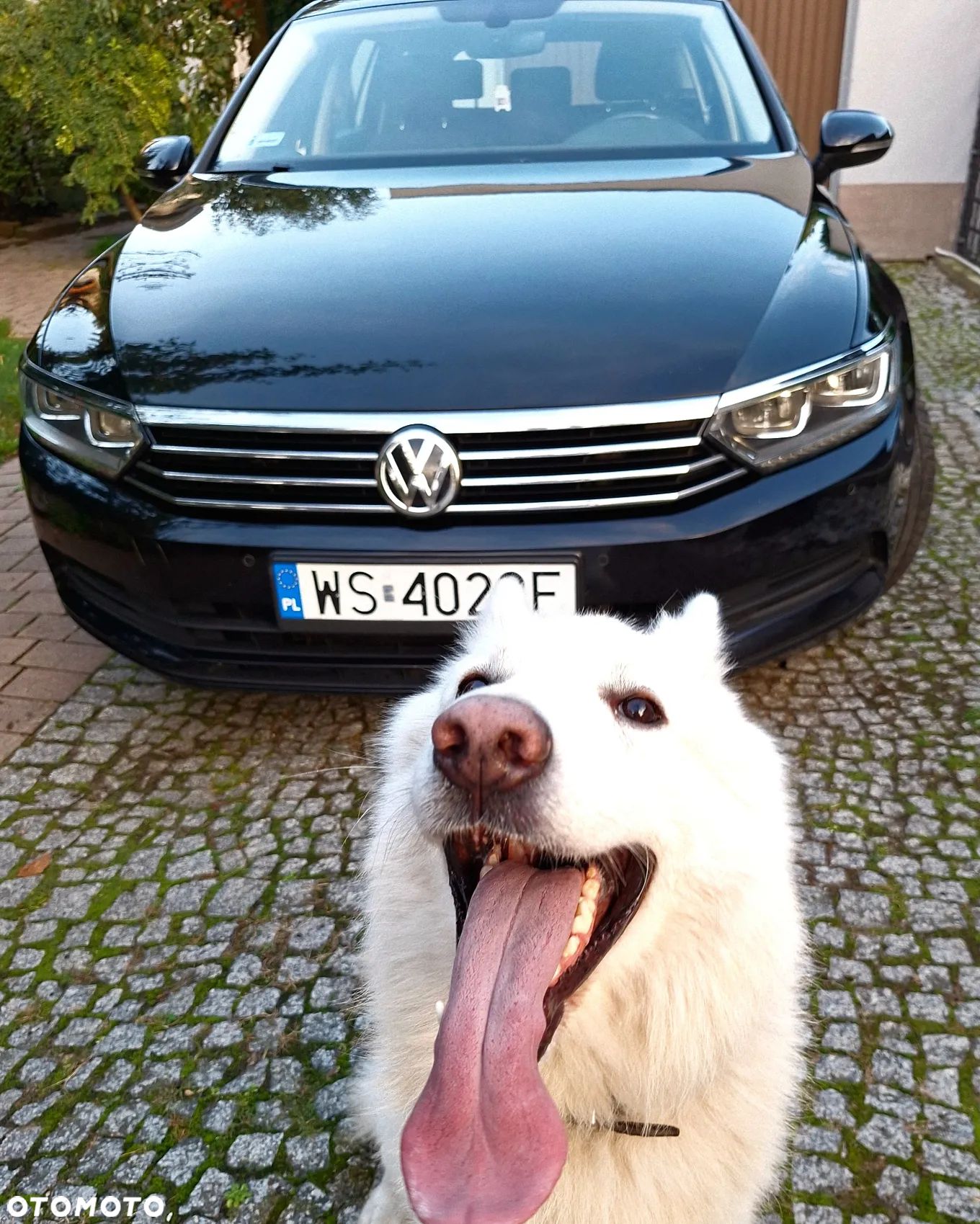Volkswagen Passat 2.0 TDI BMT Trendline - 1